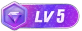 LV5 等级-LV5-JIN